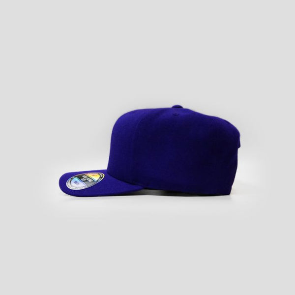 SNAPBACK WOOLBLEND CAPS  YOUTH